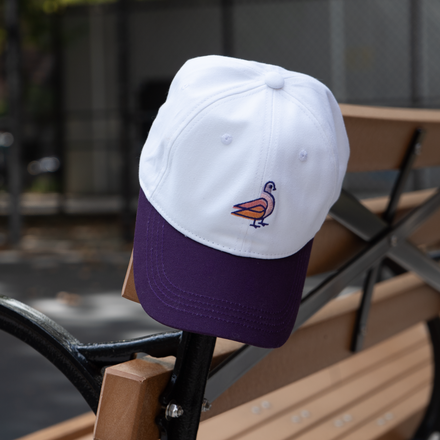 PKLYN Pigeon Baseball Hat